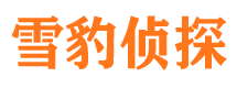 东港区侦探社